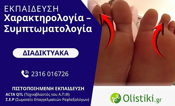 WORKSHOP - Χαρακτηρολογία – Συμπτωματολογία – ΔΙΑΔΙΚΤΥΑΚΟ